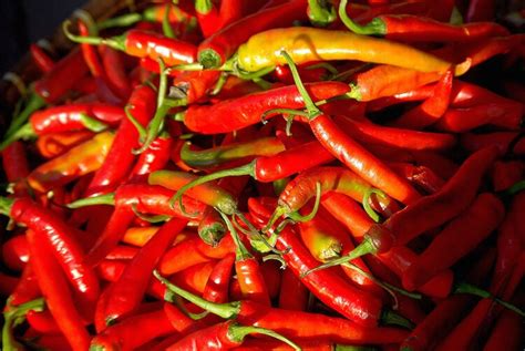 thai-peppers-guide-heat-flavor-uses-pepperscale image