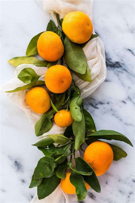 fall-salad-with-orange-vinaigrette-dressing-posh-journal image