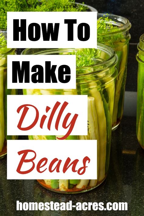 pickled-beans-how-to-make-dilly-beans-homestead image
