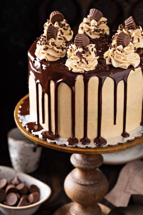chocolate-peanut-butter-cake-the-novice-chef image