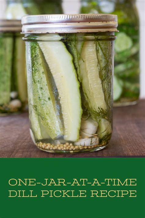 easy-refrigerator-dill-pickles-recipe-jar-at-a-time image