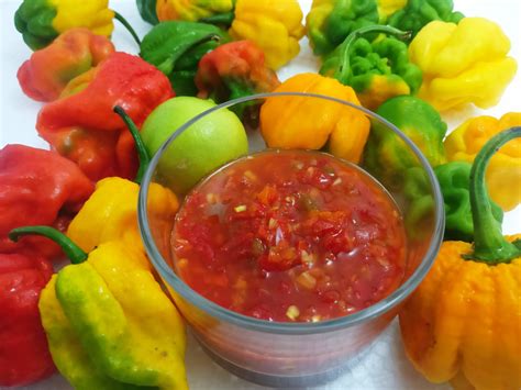 quick-and-easy-trinidad-lime-pepper-sauce-anitas image