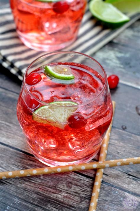 cranberry-lime-vodka-tonic-vodka-mixed-drinks-my image