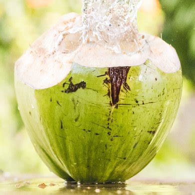 grace-foods-coconut-water-buy-coconut-water image