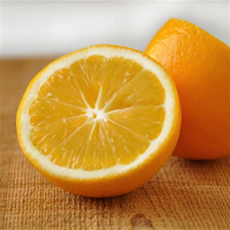 best-lemon-basil-sorbet-recipe-how-to-make-lemon image