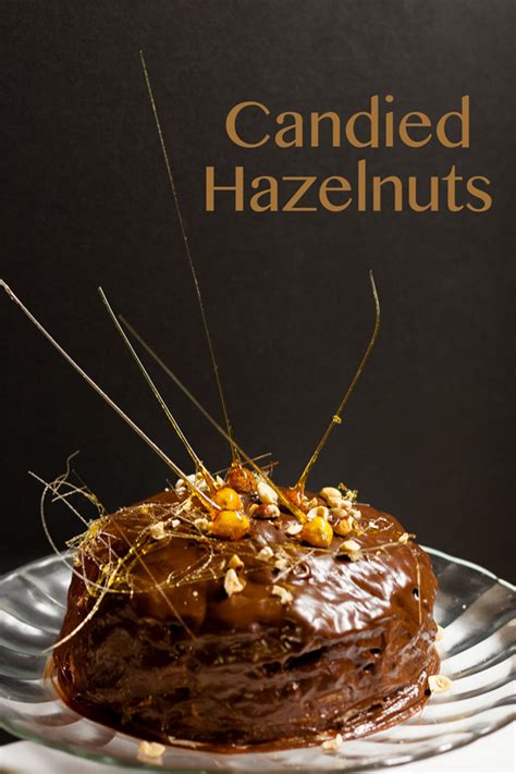 candied-hazelnuts-life-currents image