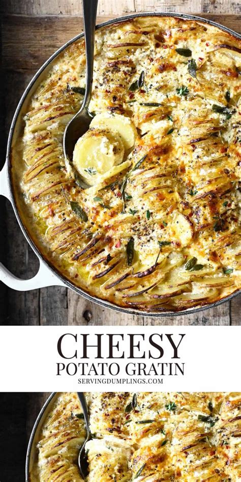 cheesy-potato-gratin image