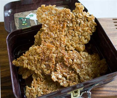 oatmeal-cookie-brittle-cookie-madness image