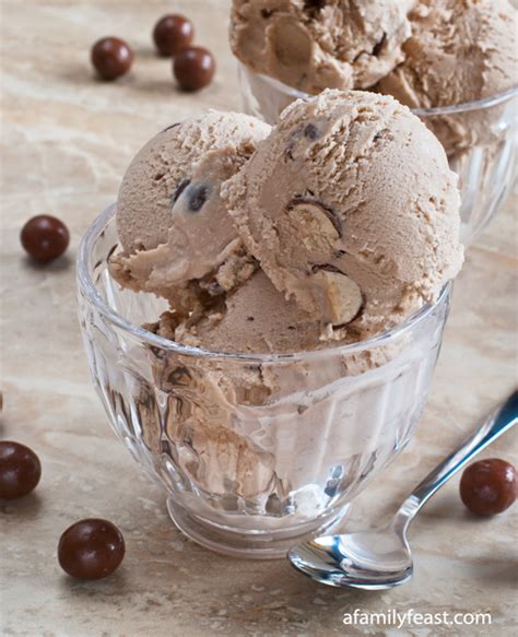 chocolate-malted-ice-cream-a-family-feast image