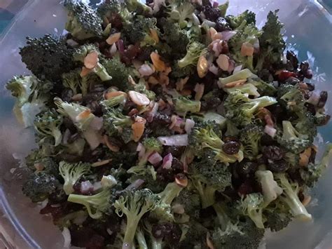 broccoli-delight-salad-frugal-living-on-the-ranch image