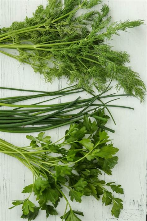 warm-barley-salad-with-fresh-garden-herbs-true image