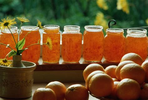 all-about-marmalade-history-facts-and-types-the image