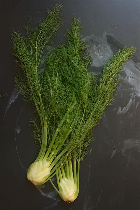 angel-hair-pasta-with-fennel-simple-seasonal image