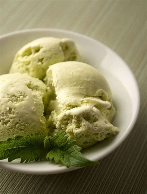 mint-ice-cream-recipe-how-to-make-fresh-mint-ice-cream image