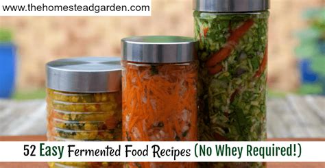 52-easy-fermented-food-recipes-no-whey-required image
