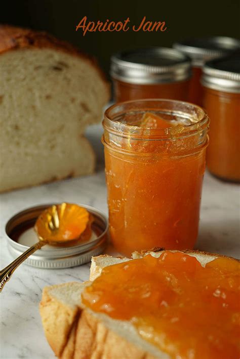 how-to-make-apricot-jam-recipe-bowl-me-over image