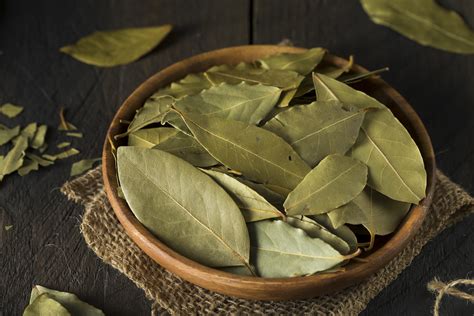 how-to-cook-with-bay-leaves-17-recipe-ideas-using-bay image
