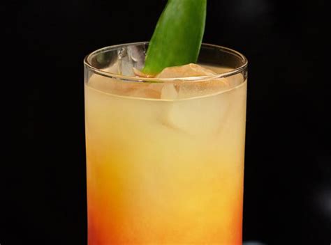 tequila-bay-breeze-recipe-the-cocktail-project image