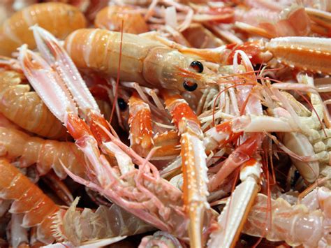 everything-you-need-to-know-about-langoustines-food image