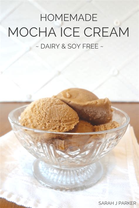 homemade-mocha-ice-cream-dairy-free-the-fit image