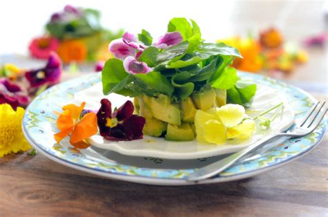 avocado-and-watercress-salad-with-edible-flowers image