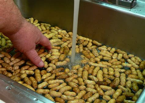 boiled-peanuts-recipe-taste-of-southern image