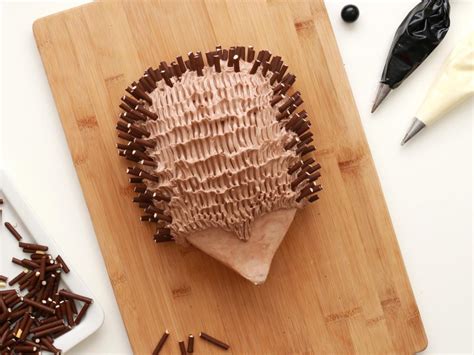 how-to-make-an-adorable-hedgehog-cake-food-com image