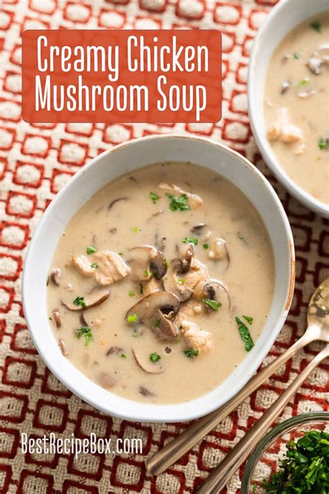 creamy-chicken-mushroom-soup-recipe-easy-quick image