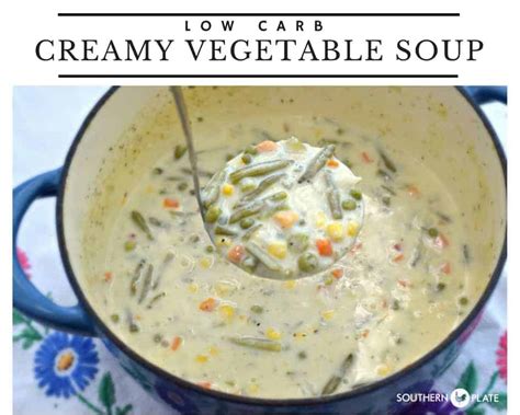 creamy-vegetable-soup-low-carb-version-southern image