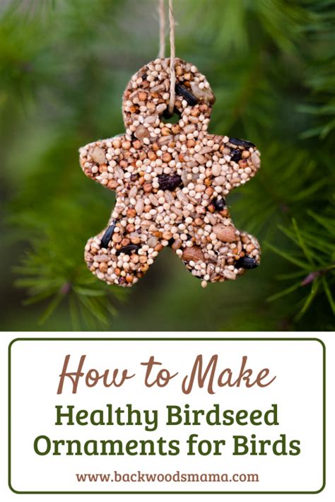 how-to-make-birdseed-ornaments-for-wild-birds image