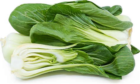 shanghai-bok-choy-information-recipes-and-facts image