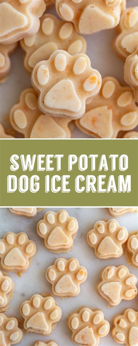 sweet-potato-dog-ice-cream-food-with-feeling image