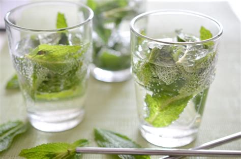fresh-mint-mojitos-the-endless-meal image