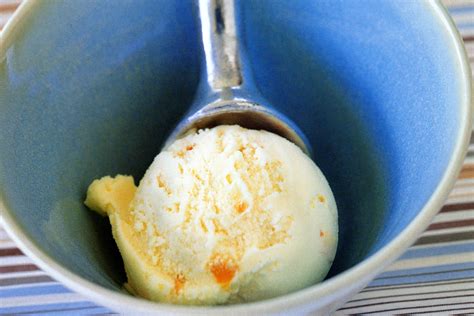 basic-vanilla-ice-cream image