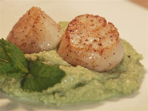seared-scallops-with-fava-bean-puree-recipe-cooking-channel image