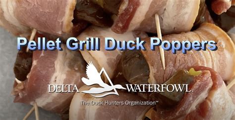 duck-poppers-delta-waterfowl image