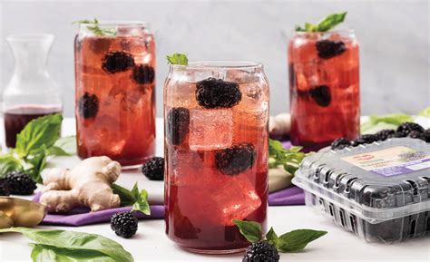 blackberry-basil-shrub-sipper image