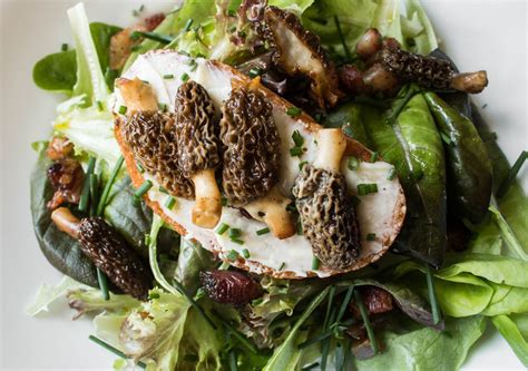 french-morel-mushroom-salad-forager-chef image