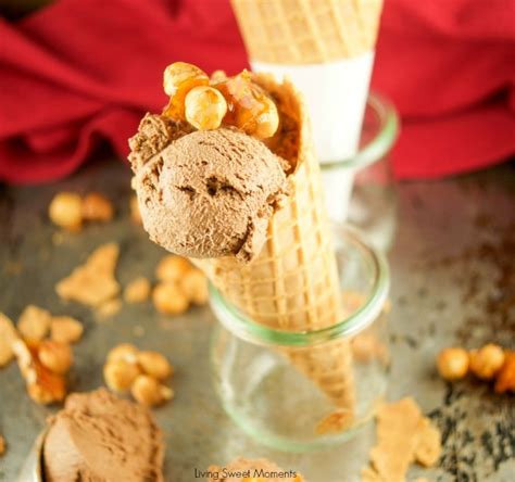 hazelnut-chocolate-ice-cream-recipe-gianduja image