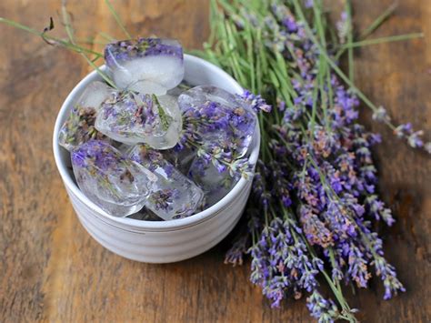 lavender-ice-cubes-elise-museles image