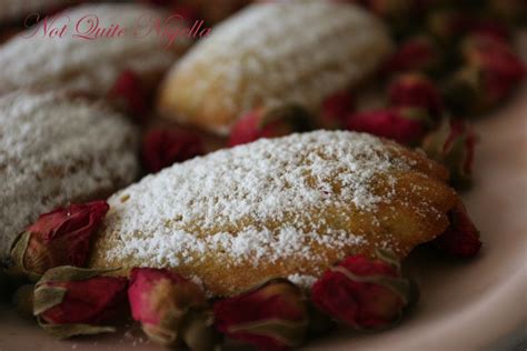 pistachio-and-rose-madeleines-not-quite-nigella image