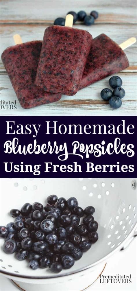 easy-homemade-blueberry-popsicles-recipe-premeditated image