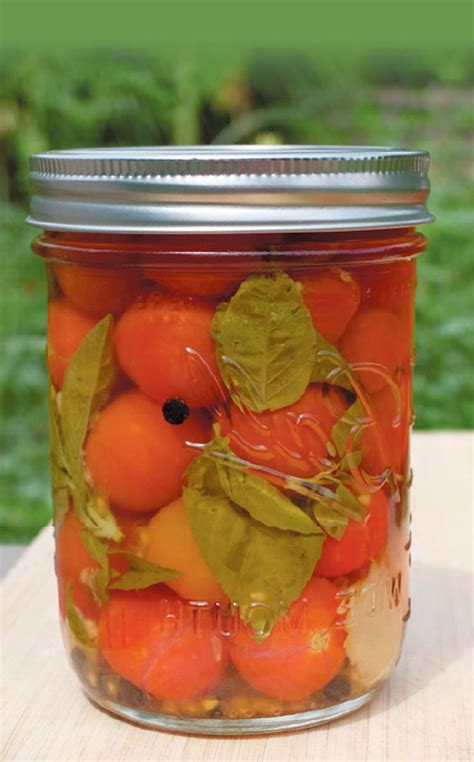 pickled-cherry-tomatoes-edible-door image