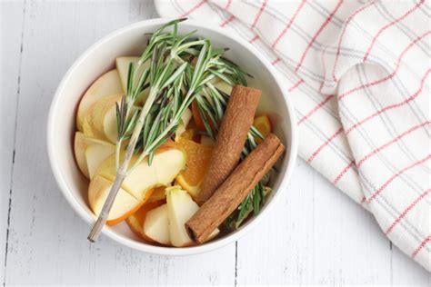 apple-cinnamon-potpourri-crock-pot-recipe-get-green image