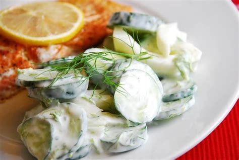 cucumber-fennel-salad-recipe-laaloosh image