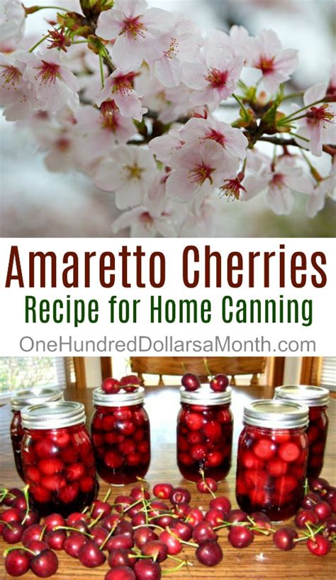 canning-101-amaretto-cherries-one-hundred image