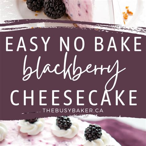 no-bake-blackberry-cheesecake-the-busy-baker image