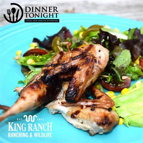 grilled-quail-salad-dinner-tonight image