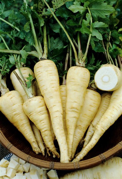 whipped-parsnips-tiny-new-york-kitchen image