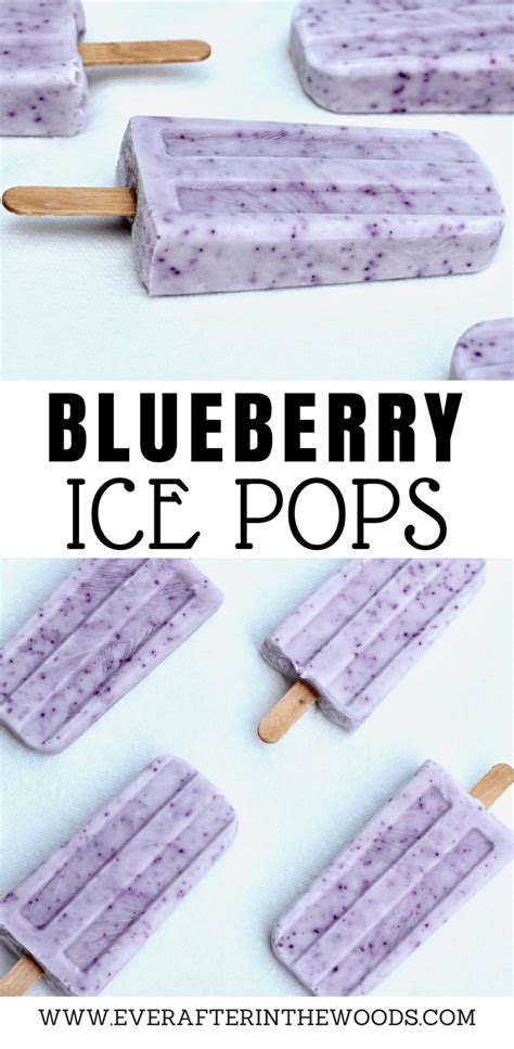 blueberry-ice-pops-ever-after-in-the-woods image
